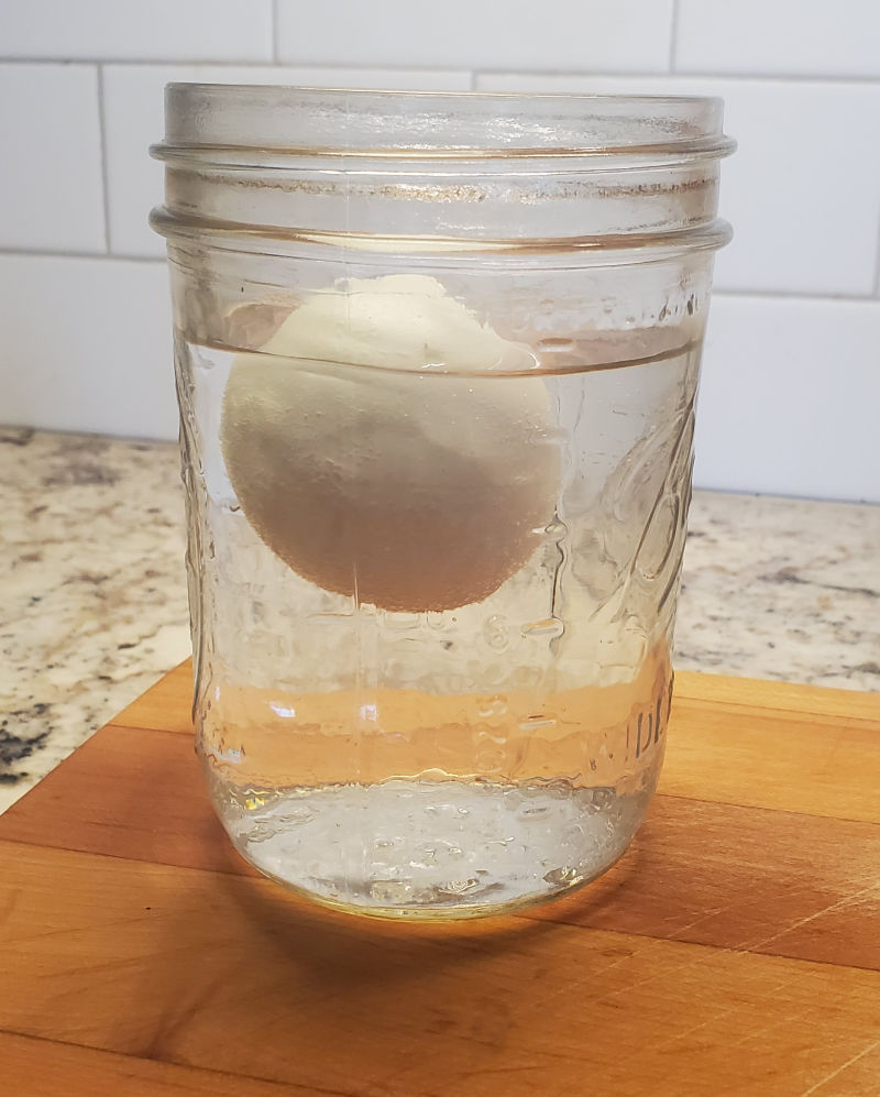The Float Test for Egg Freshness Fresh Eggs Daily® with Lisa Steele