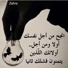 حكم 2017 حكم 2017
