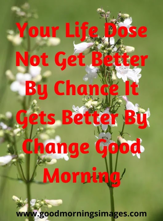 good morning pictures for lover good morning pictures for lover