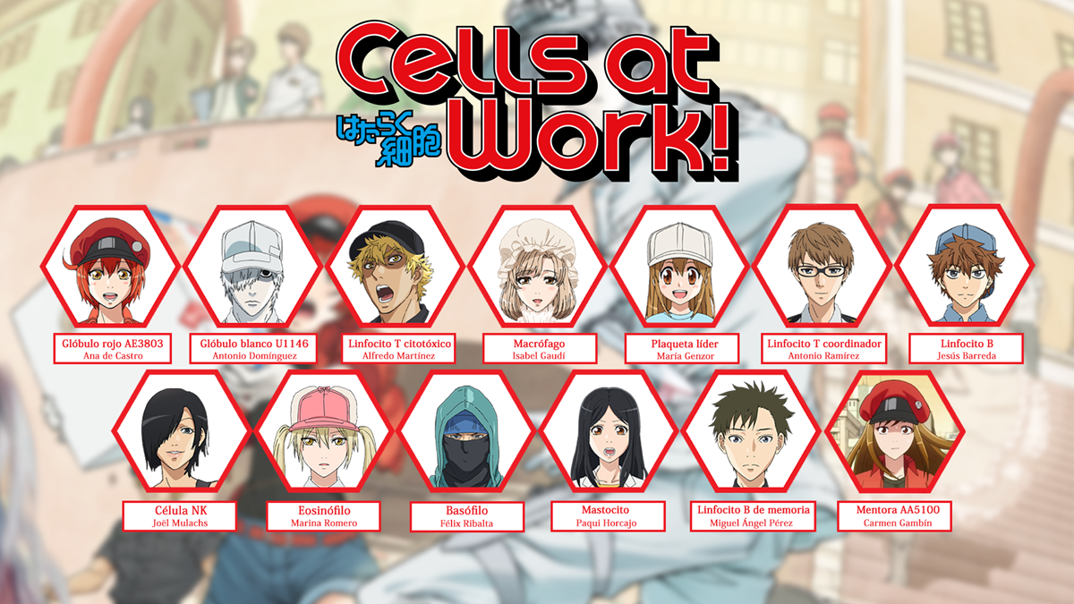 Cells at work personajes