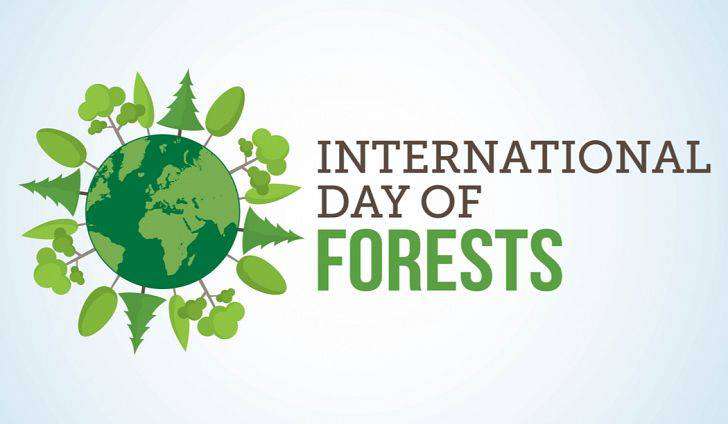International Day of Forests Wishes Lovely Pics