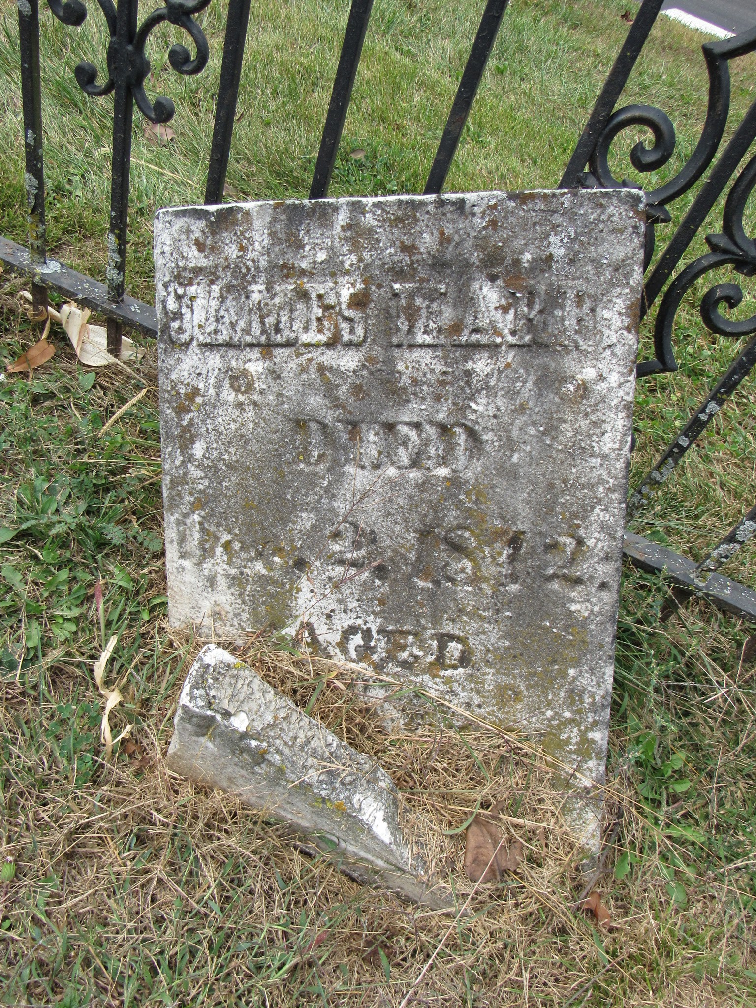 A Walk Through The Tombstones Marr Cemetery