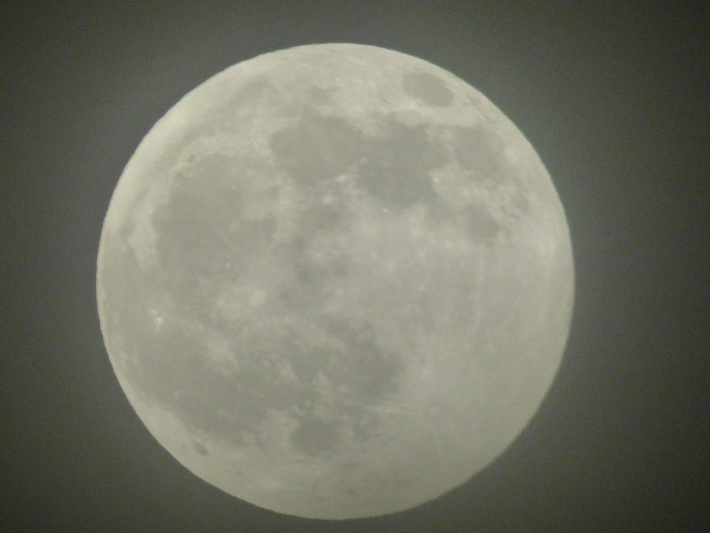 Through The Keyhole Stay Home Moon