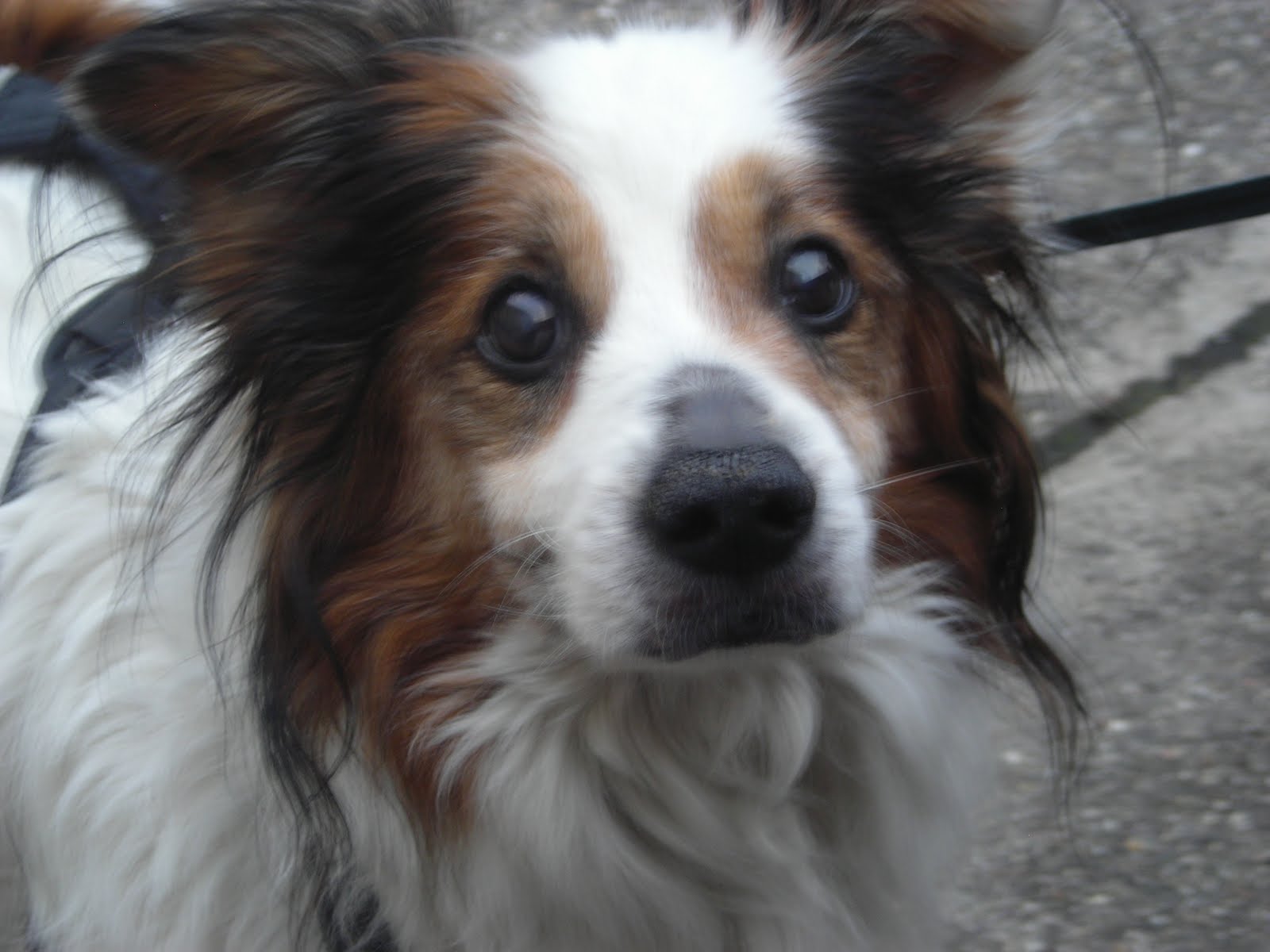 Alltagsheldennetz World Of Pd