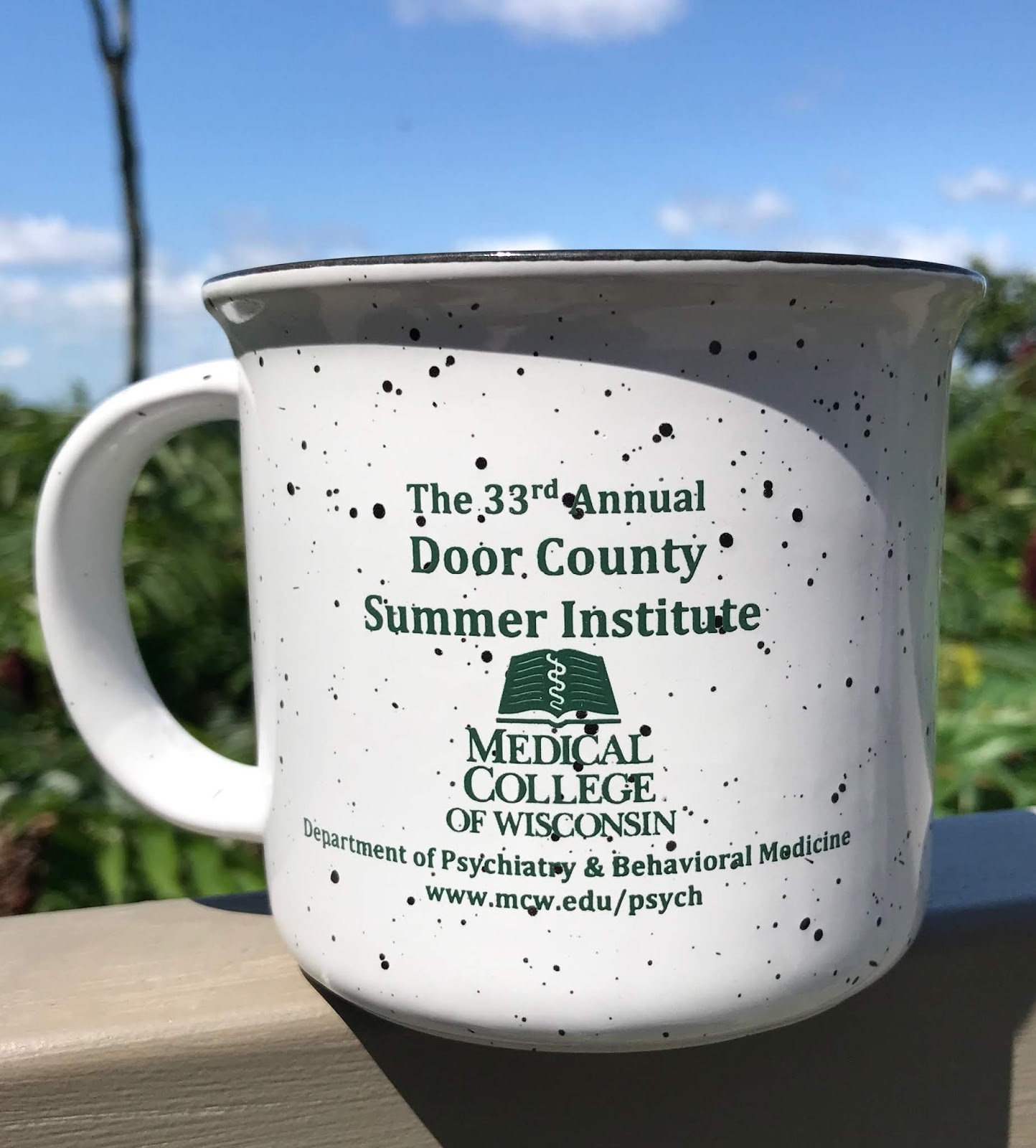 Real Psychiatry Door County Summer Institute 33
