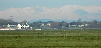 Aldcliffe Marsh