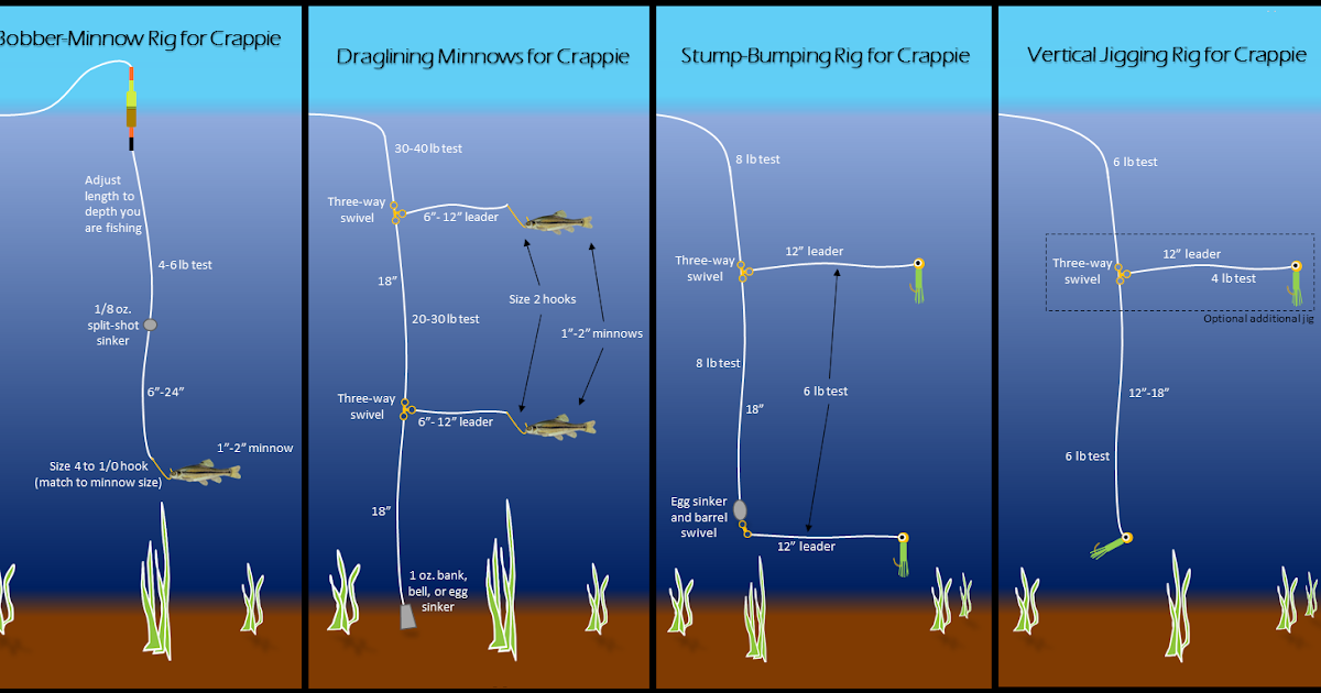 Veterinary Education Vet Line Fishing Techniques Part 1