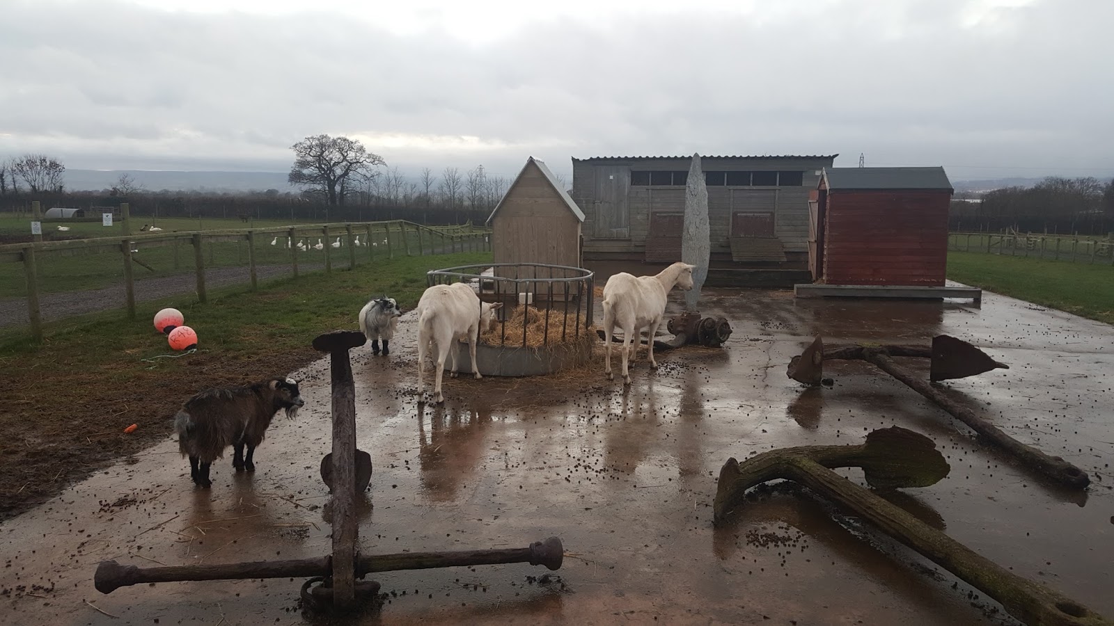 Greendale Farm Shop & Cafe