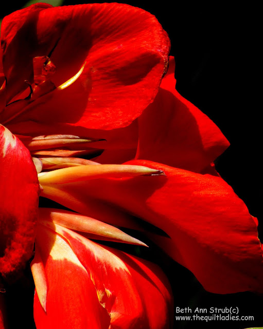 Photo by Beth Ann Strub