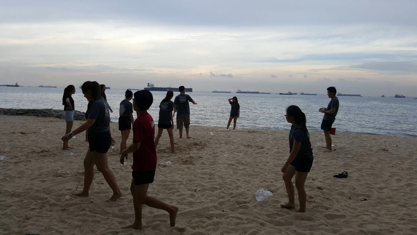 Diploma In Perfumery Cosmetic Science June 2016