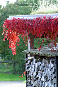 Ein Schweizer Garten Rot Wild