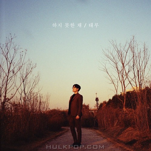 Taeroo – 하지 못한 채 – Single