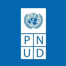 Job Opportunity : UN Volunteer for Partnerships and Resource Mobilization Officer