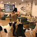 Ένα dog cafe!...