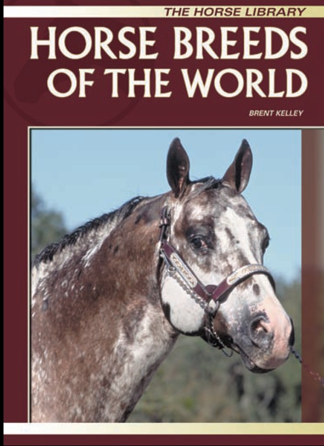 Horse Breeds of the World