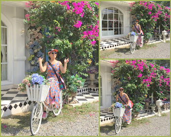 苗栗浪漫景點-格林奇幻森林-教堂.魔法屋.愛情櫥房,走入21世紀的童話世界