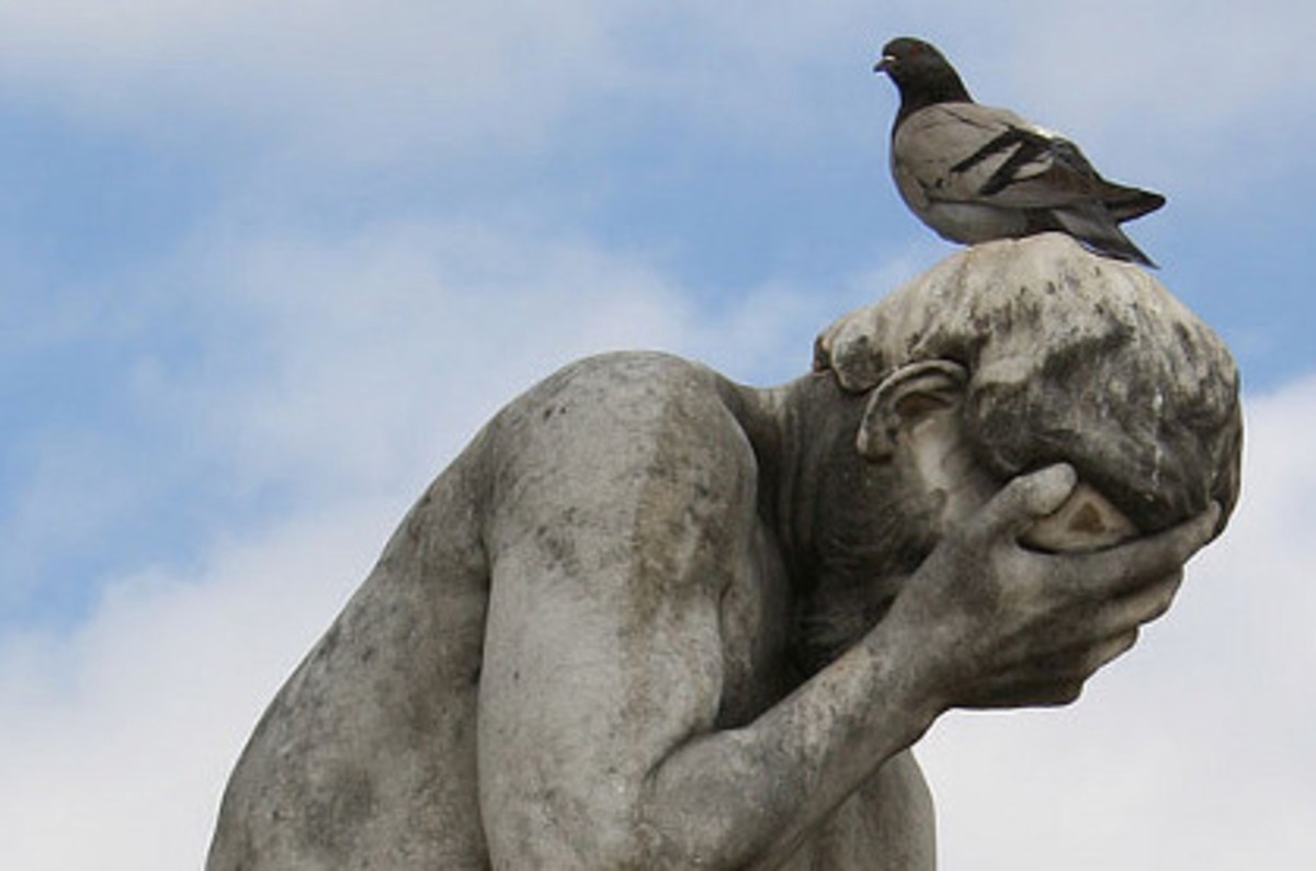 'Think of the birds' Don't Topple Green Party Says Most Statues Are Bird Perches Covered in