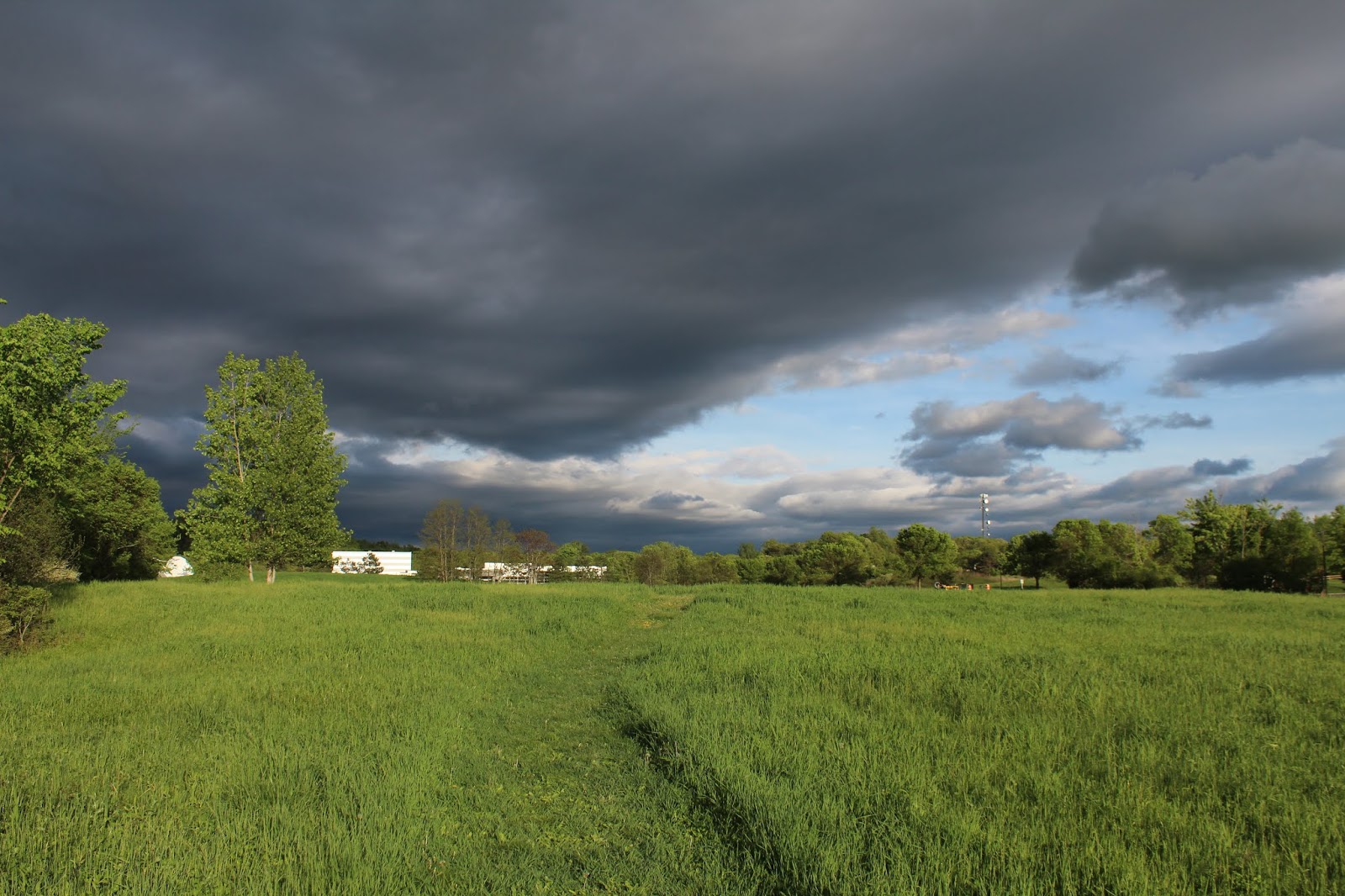 Walking Man 24 7 Tech Park Trails(North Greenbush)