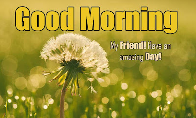 Good morning messages for friends with pictures