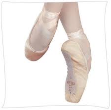 sansha canvas pointes