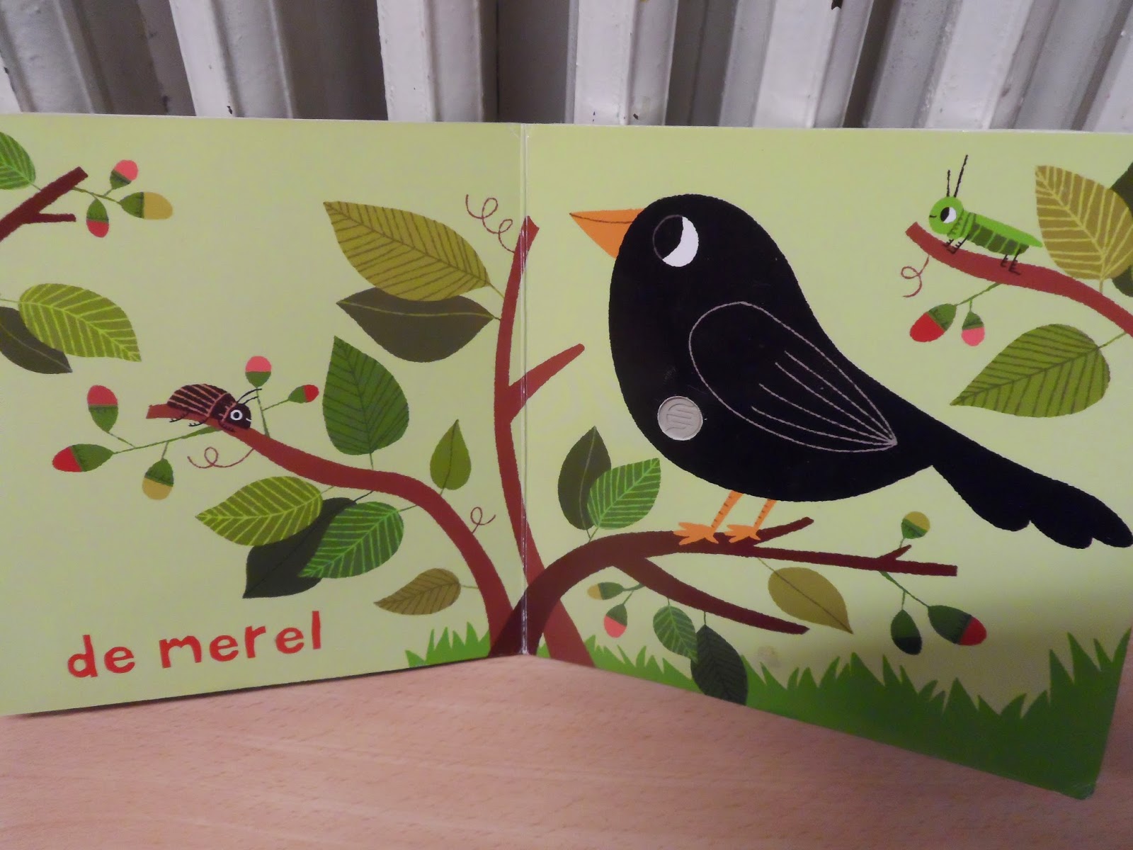 1ste kleuterklas C - Juf Natalie: VOGELS!