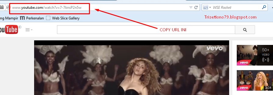 Sfrom Net Https Youtube Watch