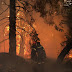 Η Νοτιονατολική Μεσόγειος στις φλόγες - 336% αύξηση της καμένης έκτασης στην Ελλάδα, με πάνω από 900.000 στρέμματα καμένης γης 