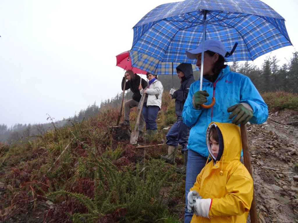 Fundación LURGAIA febrero 2015