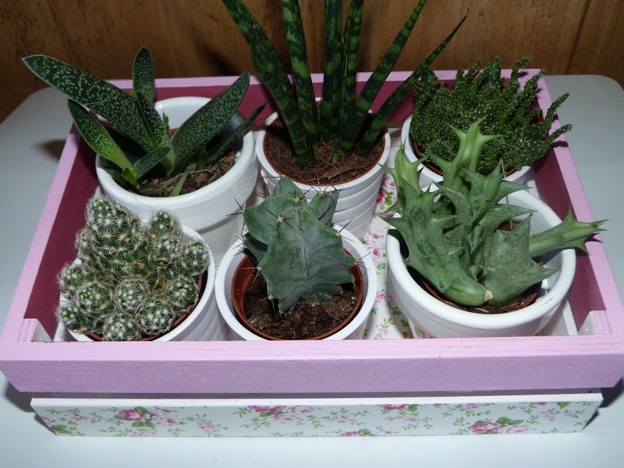 isabelvintage-vintage-caja-fruta-madera-decorada-decoupage