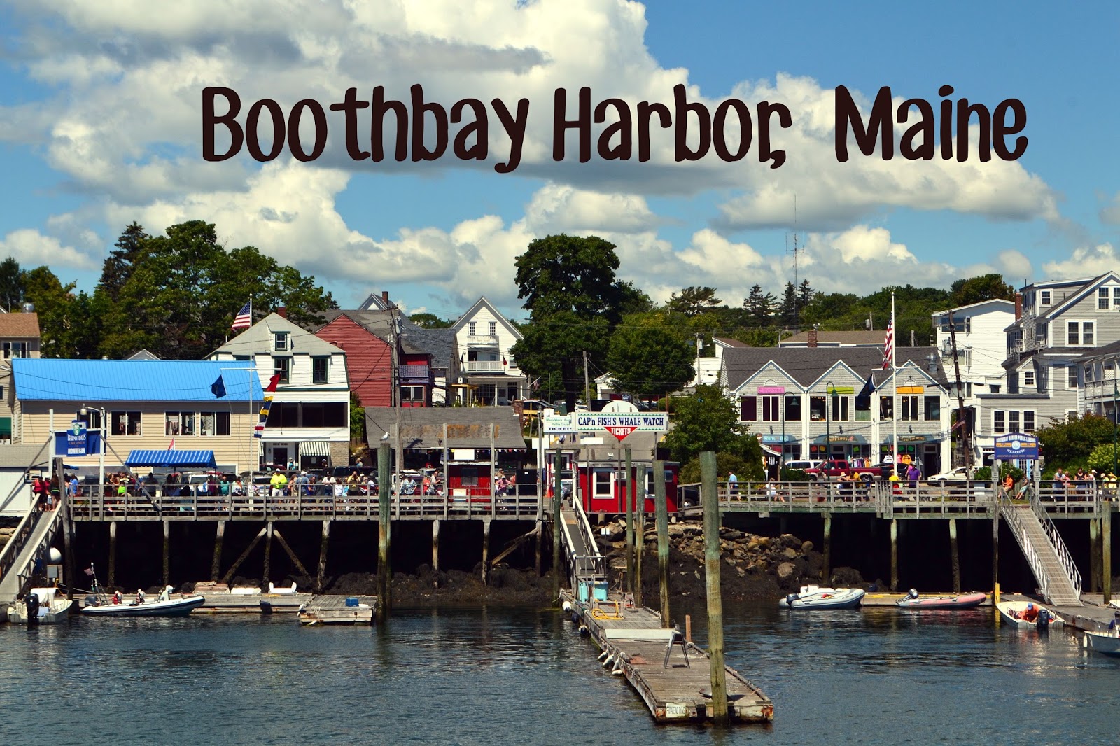 Katie Wanders : Boothbay Harbor, Maine