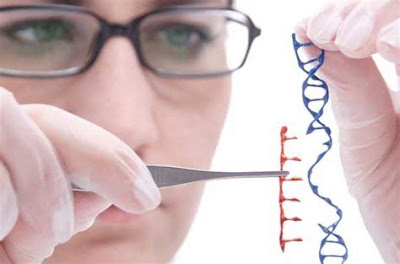¿Qué hace un genetista?