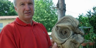 Kepala alien ditemukan di pemakaman di Kroasia