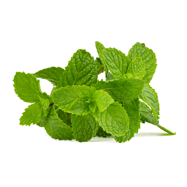 Spinach Healthy 40+ Keerai vagaikal in Tamil and English with Images