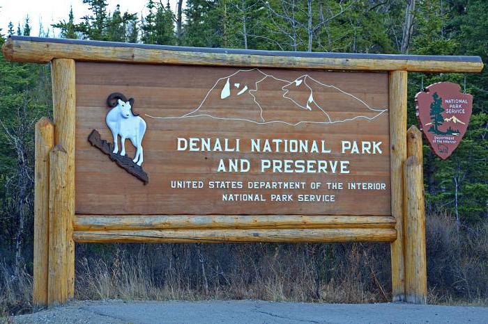Denali National Park Alaska Wilderness 9