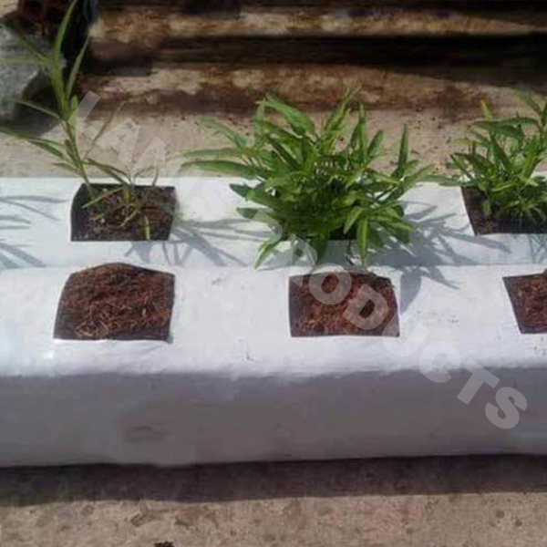 Which is best, Coco Coir or Soil?