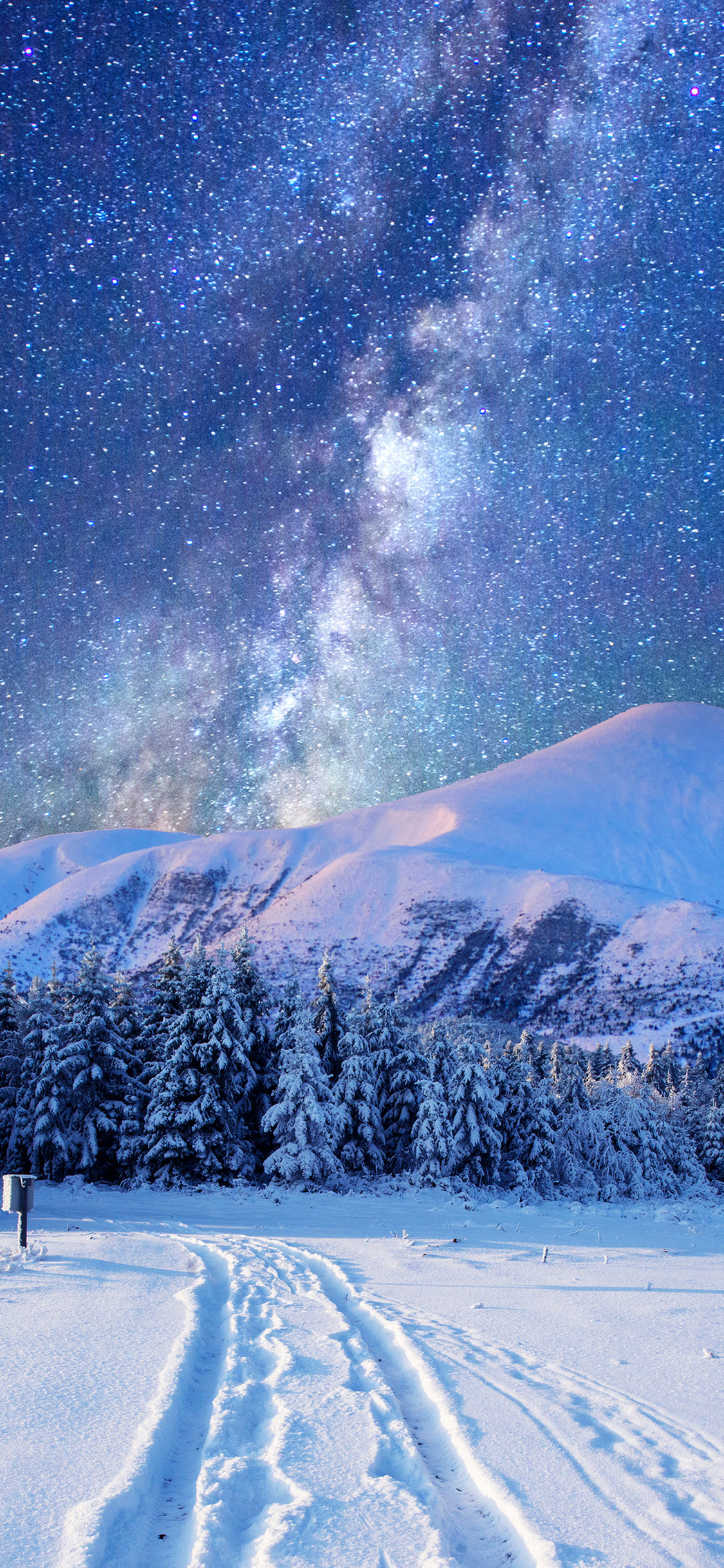 Starry Sky over Winter Landscape