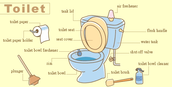 Фан пей туалет дефенс. Унитаз на английском. Туалет на английском языке. Toilet Parts. Flush the Toilet.