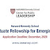 Harvard Kennedy School Dubin Masters Fellowship 2021/2022 for Emerging Leaders – USA