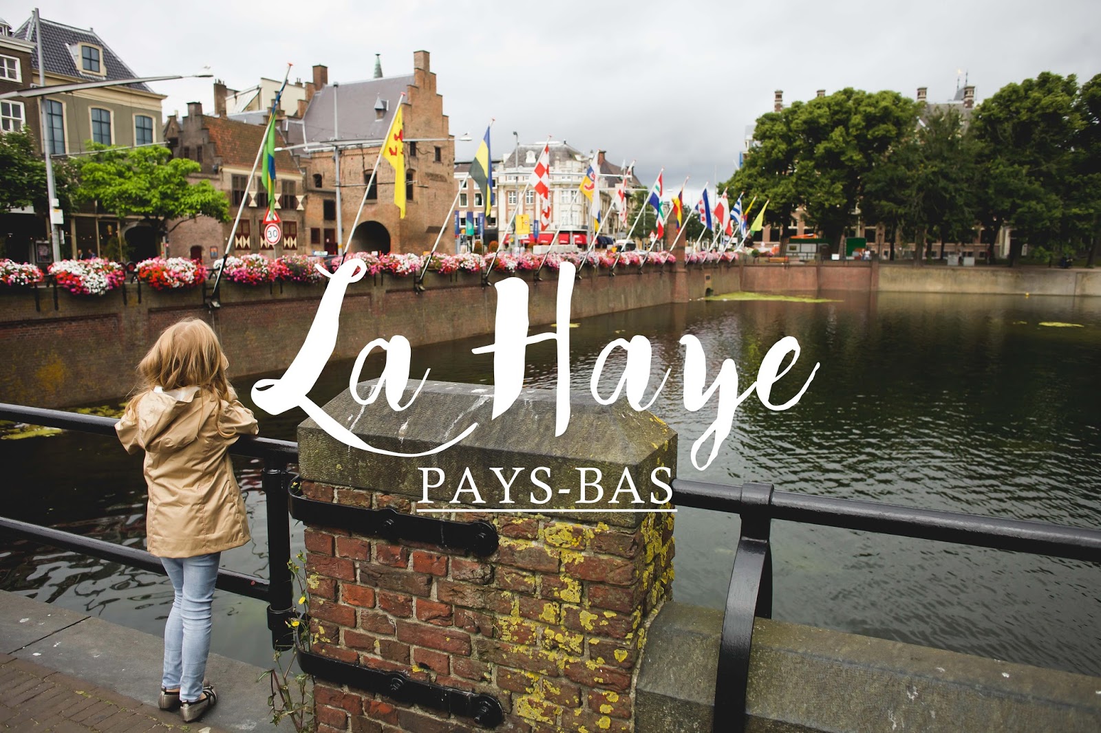 la haye pays bas