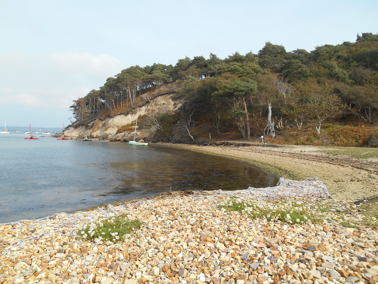 A lifetime of Islands Island 76 Brownsea Island, Dorset