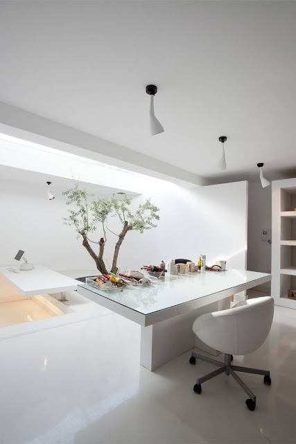 Picture of a small modern white table in the room with one small tree