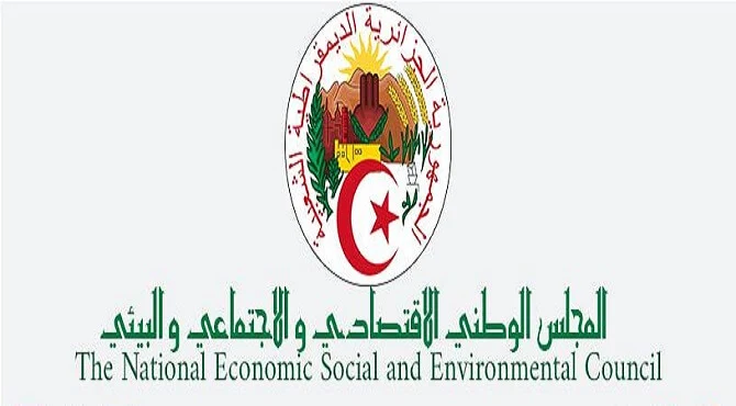 المجلس الوطني الاقتصادي والاجتماعي والبيئي