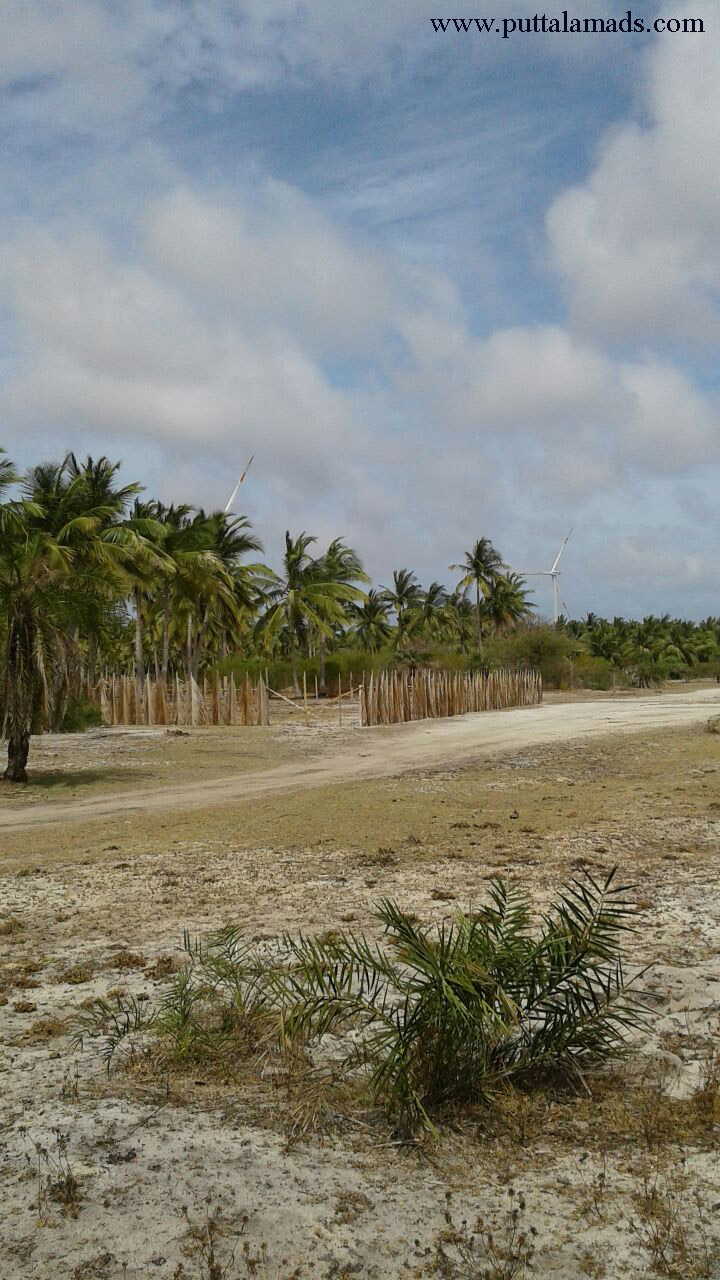 40 Perch Tourism Land in Kalpitiya Real Estate and Land Brokers in