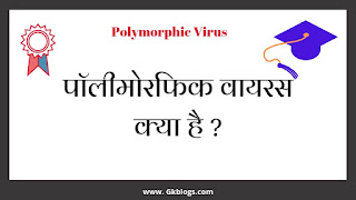 What is Polymorphic Virus ?, Polymorphic Virus, Polymorphic Virus Example, पॉलीमोरफिक वायरस  क्या है ?, पॉलीमोरफिक वायरस के उदाहरण