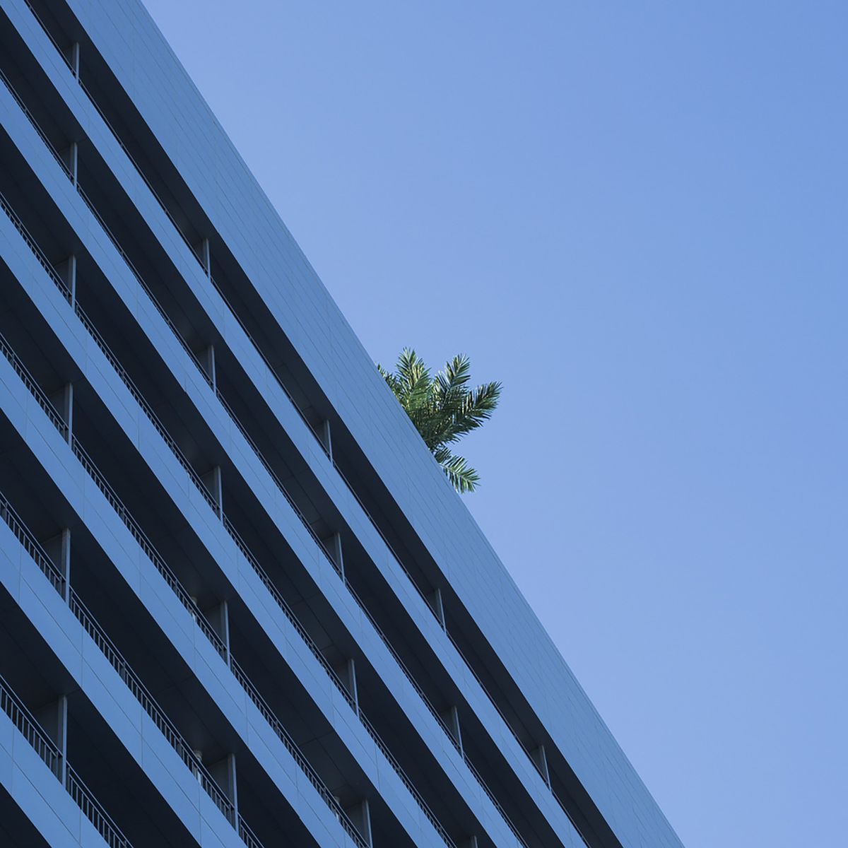 Dolo – Priceless – Single