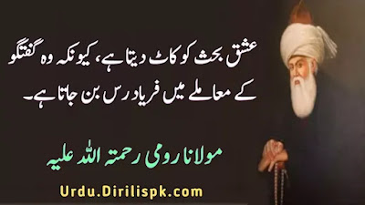 Rumi Quotes in Urdu