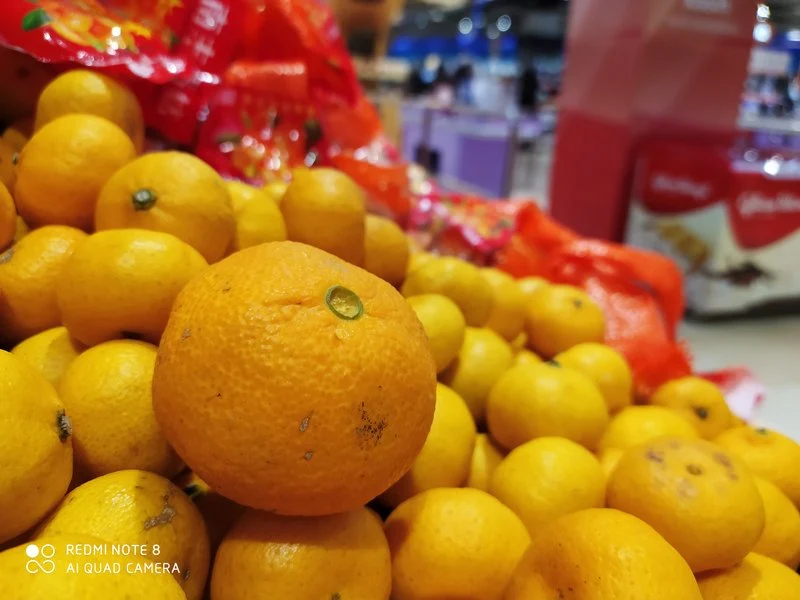 Hasil Foto Kamera Xiaomi Redmi Note 8