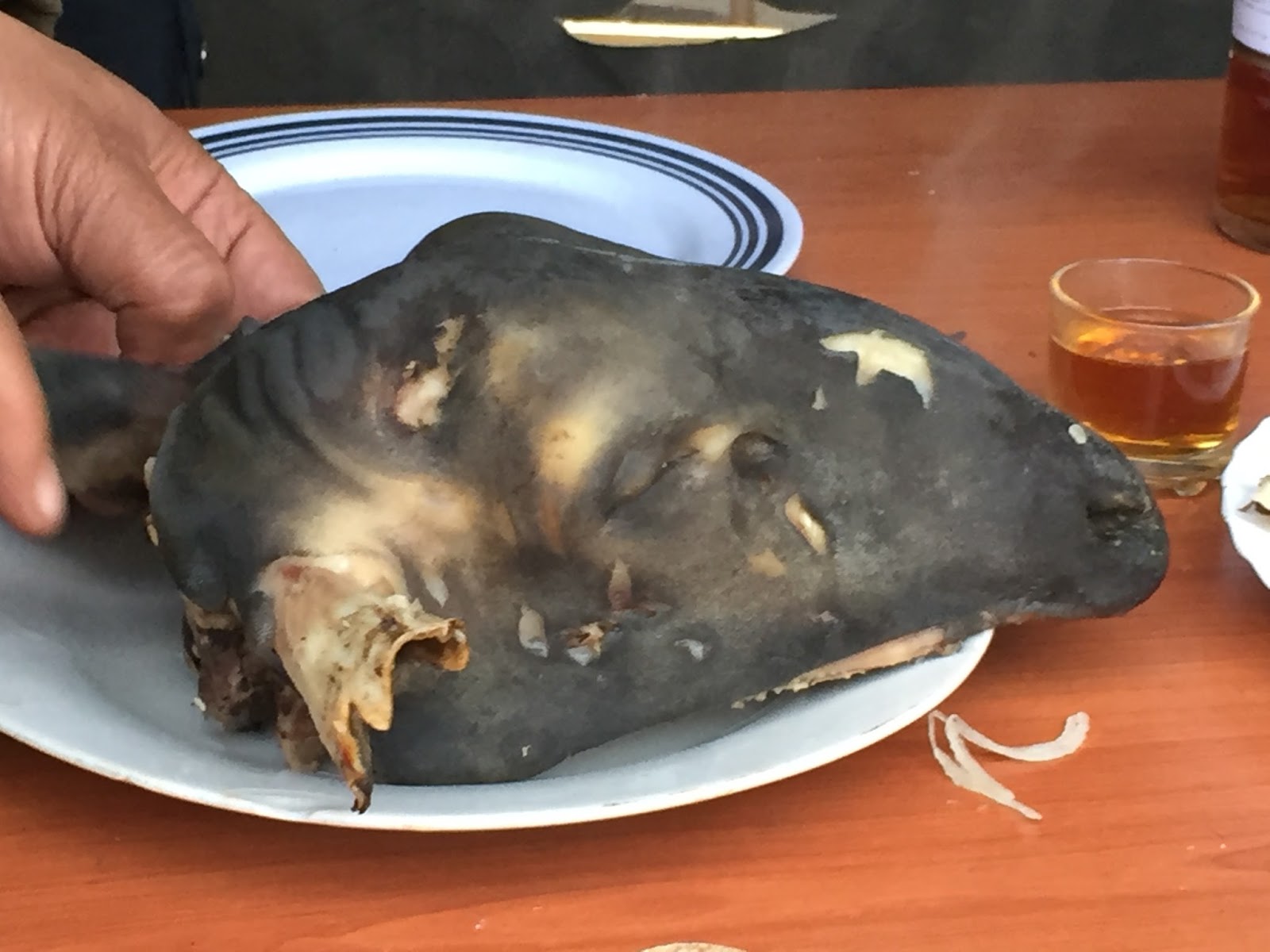 Most Hated T 04 Terekty Kasachstan