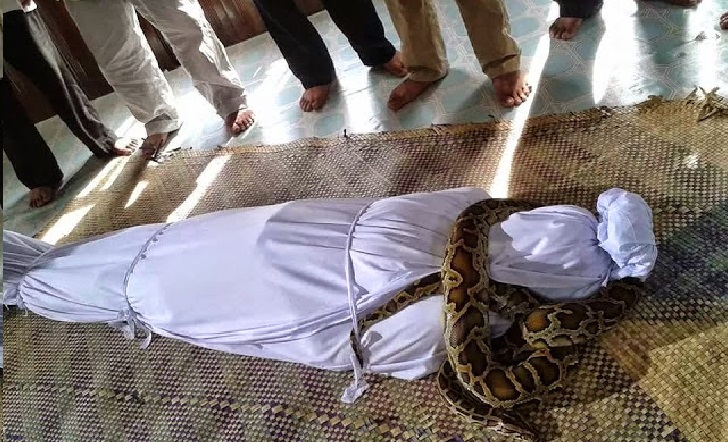 Kisah Hikmah Jasad Seorang Rentenir Di Lilit Ular Kisah Hikmah Jasad Seorang Rentenir Di Lilit Ular