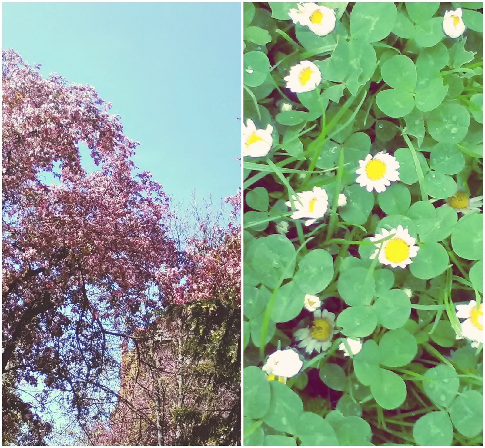 BeFunky%2BCollage2.jpg